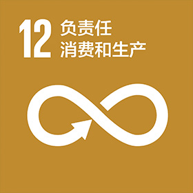 12 负责任消费和生产